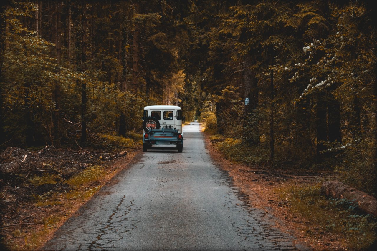 山道を走る自動車